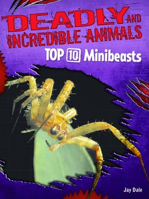 cover image of Top 10  Minibeasts